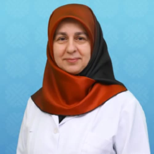 Dr. Öğr. Üyesi Mürvet Hakyemez