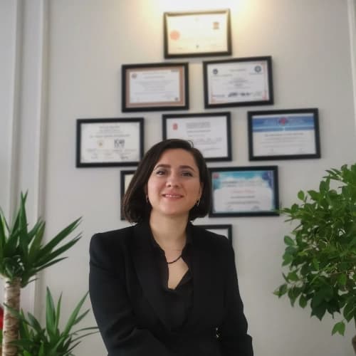 Prof. Dr. Dt. Hacer Şahin Aydınyurt