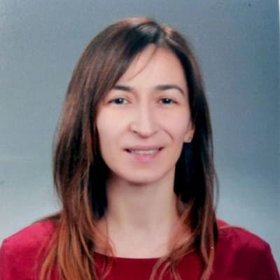 Doç. Dr. Deniz Altınbay Profil Fotoğrafı