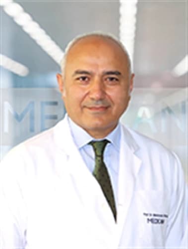 Prof. Dr. Mehmet İbiş Profil Fotoğrafı
