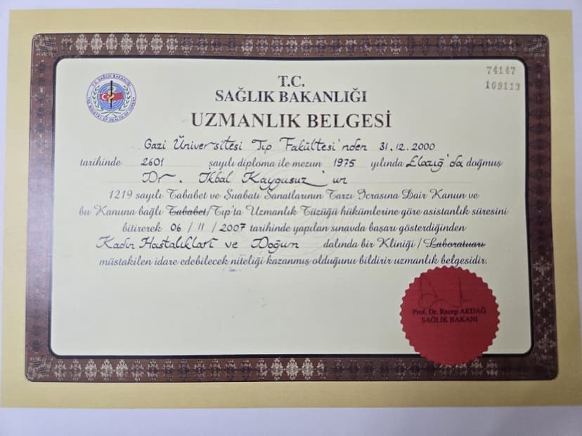 sertifika
