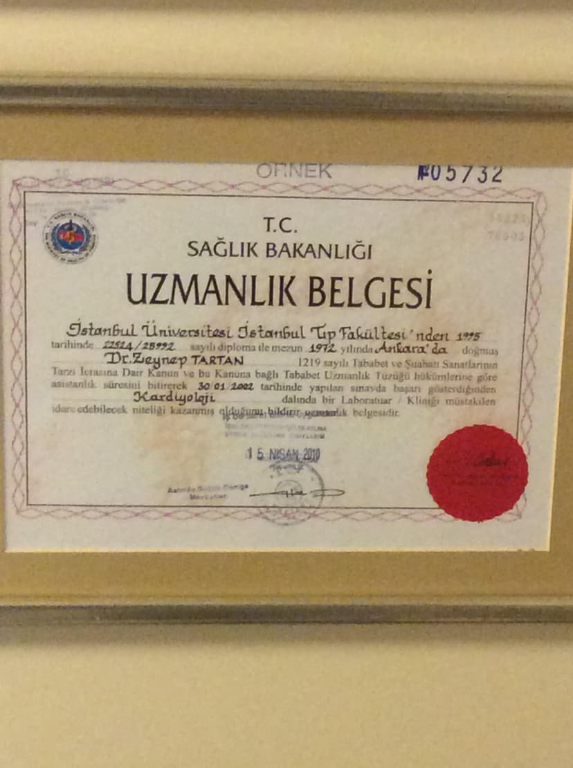 Uzmanlık Belgesi
