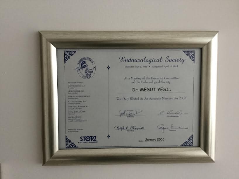 Endourological Society