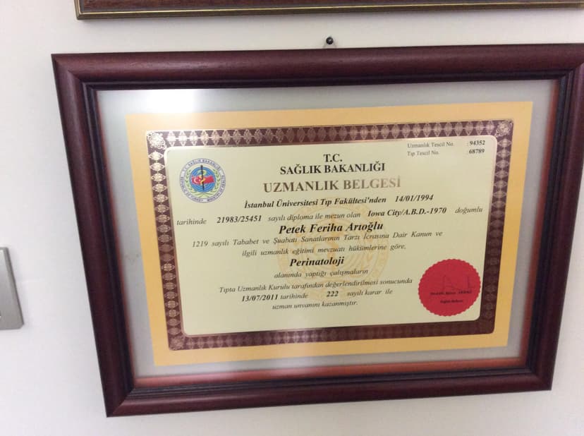 Uzmanlık Belgesi / Perinatoloji