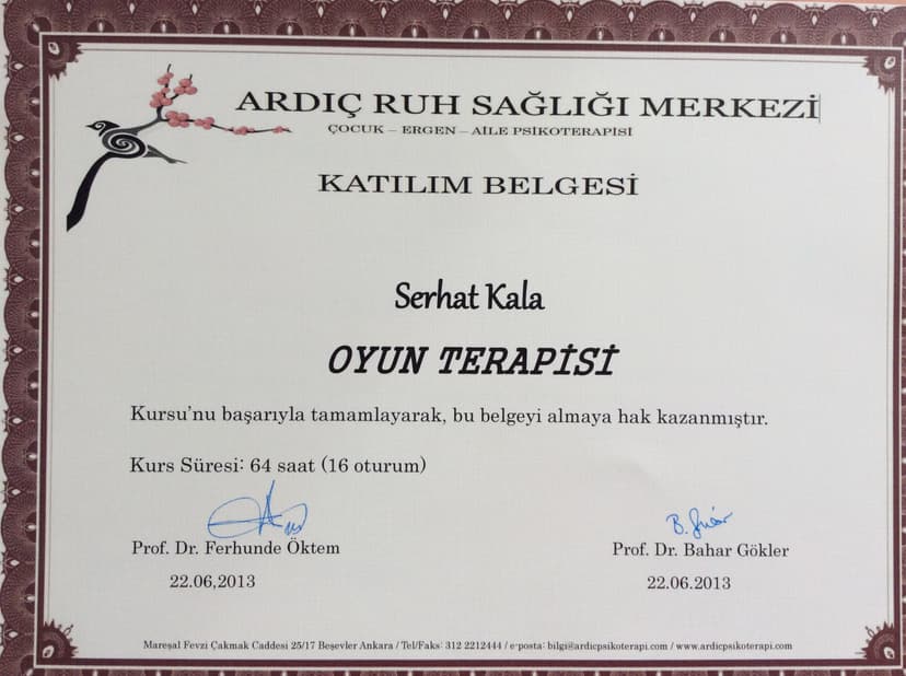 Oyun terapisi