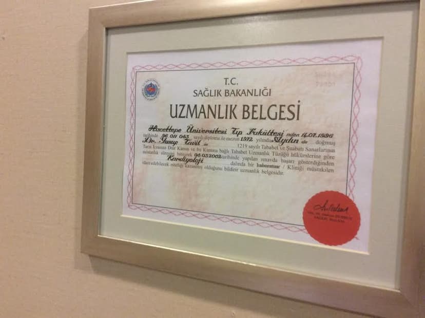 Uzmanlık Belgesi