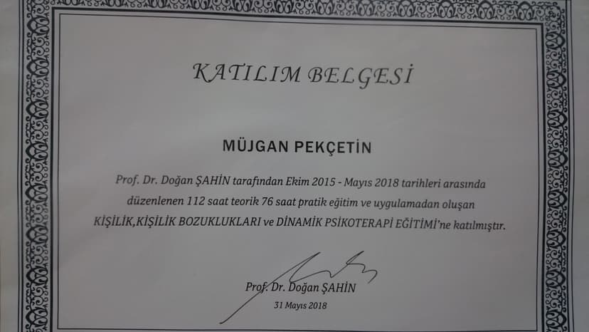 Dinamik Psikoterapi Eğitimi