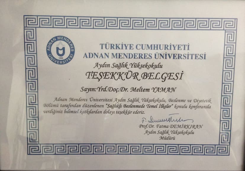 Üniversite Ders Sertifikası