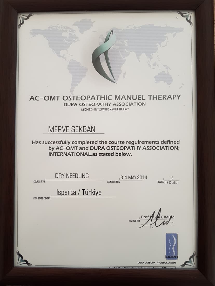 Dry Needling (Kuru iğneleme)