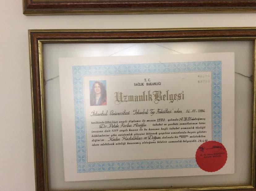 Uzmanlık Belgesi