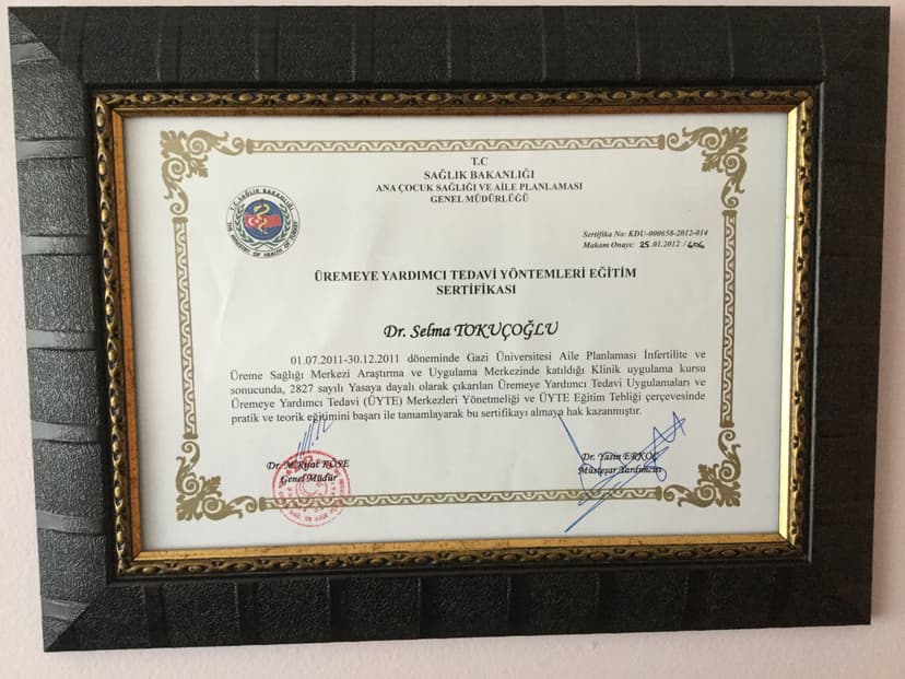 Tüp Bebek Sertifikası