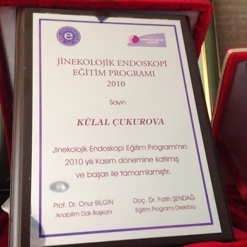Jinekolojik endoskopi sertifikası