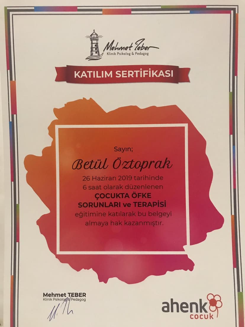 Çocukta Öfke Sorunları ve Terapisi