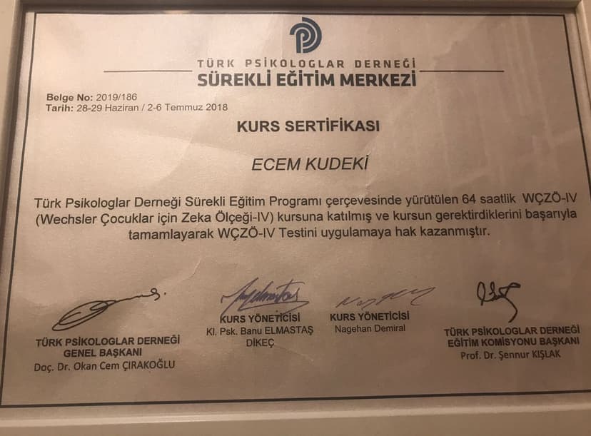 WISC 4 Çocuklar için Zeka Ölçeği Uygulayıcı Sertifikası