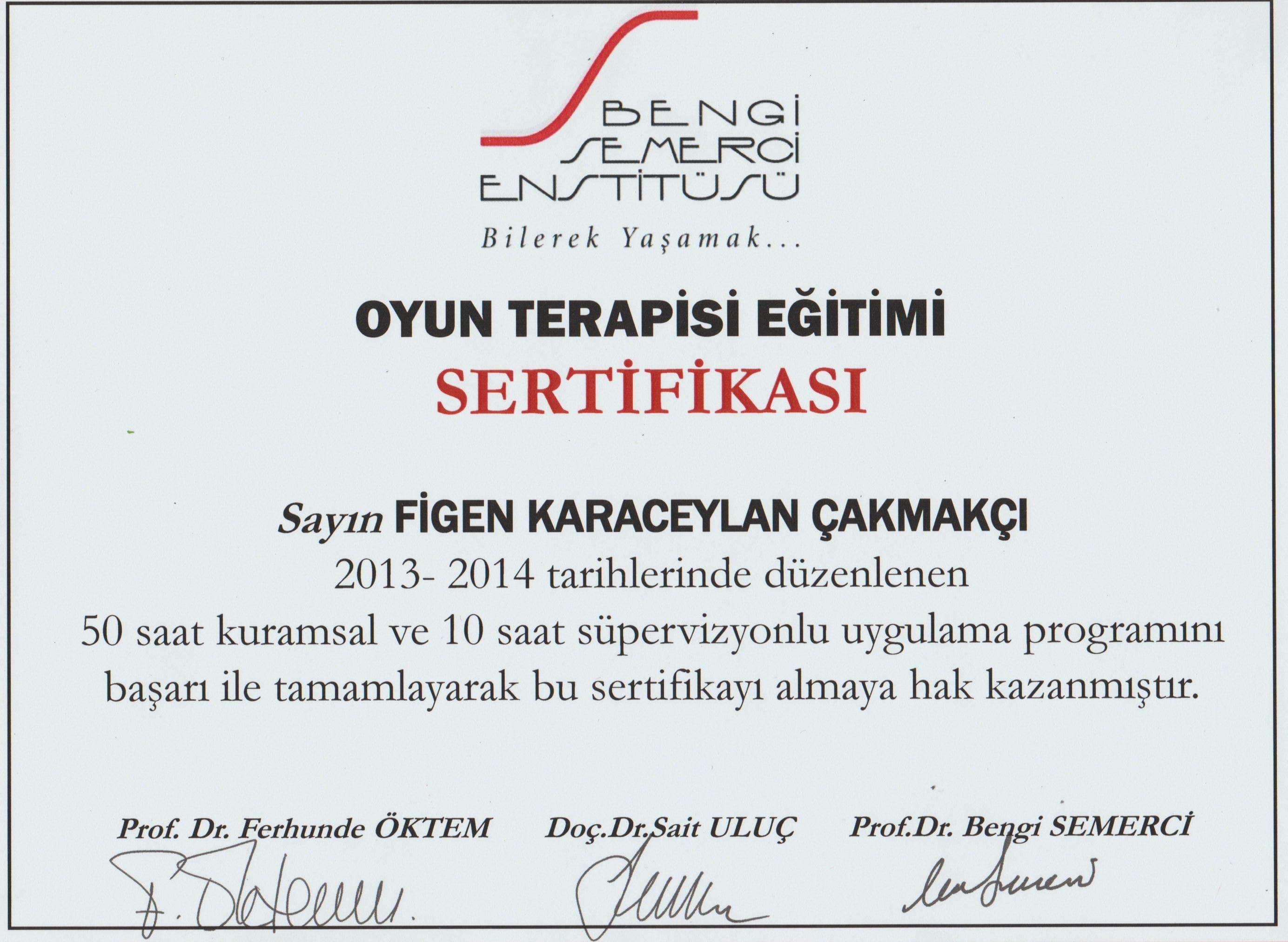 Oyun Terapisi Eğitimi