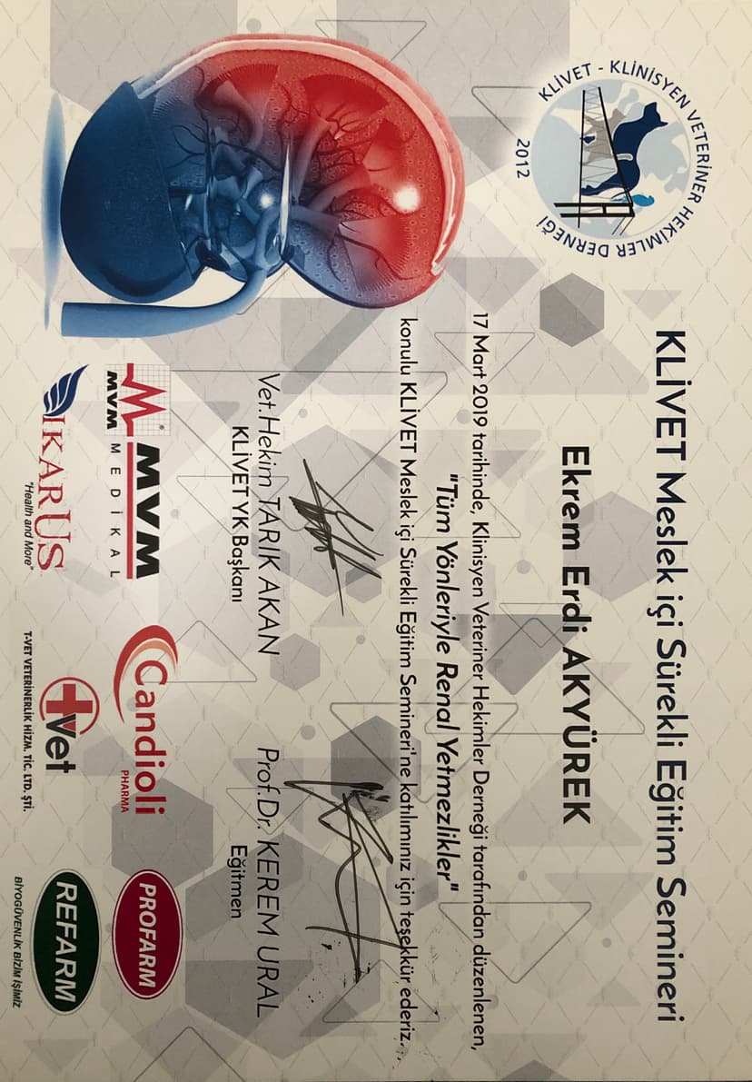 Böbrek Hastalıkları