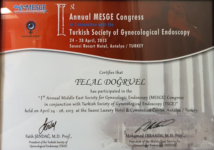 Jinekolojik Endoskopi