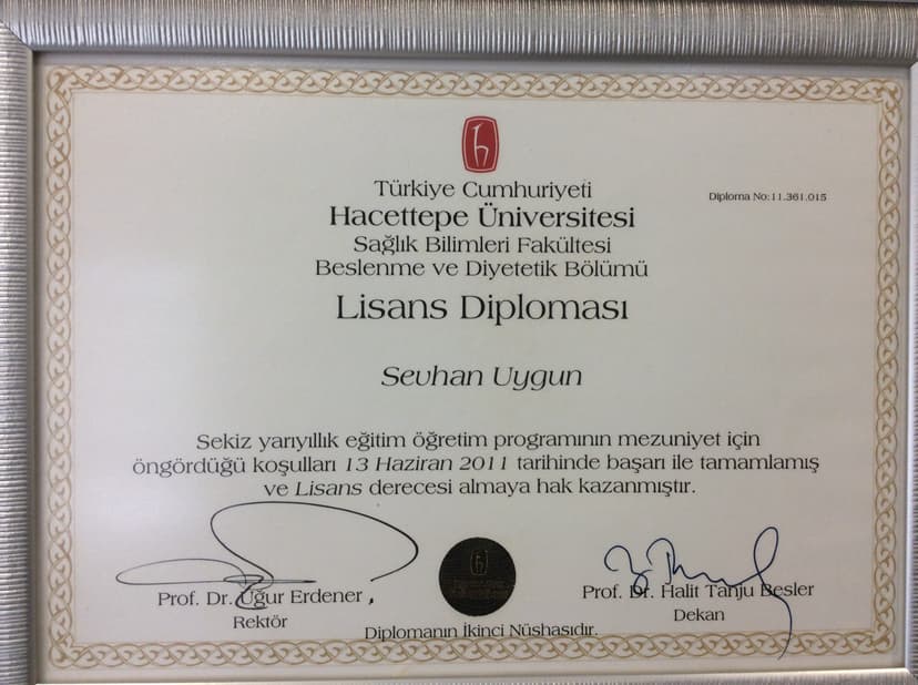 Lisans diploması