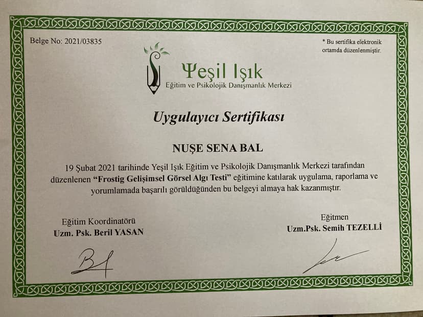 Frostig Gelişimsel Görsel Algı Testi