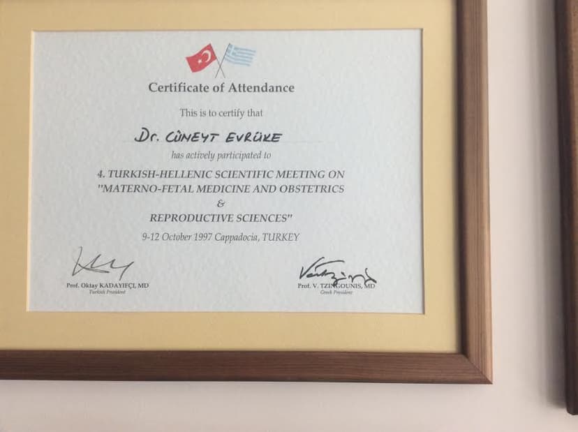 4. Turkish- Hellenic Scientific Meeting on " Materno - Fetal Medicine And Obstetrics