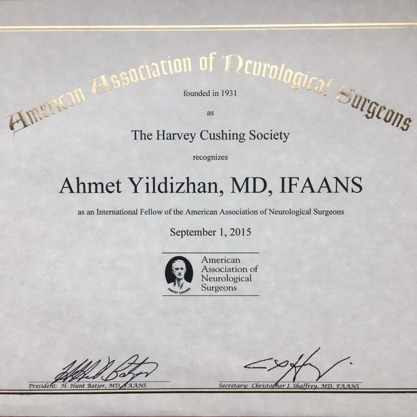 International Fellow of the American Association of Neurological Surgeons ( IFAANS )