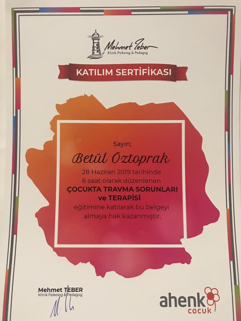 Çocukta Travma Sorunları ve Terapisi