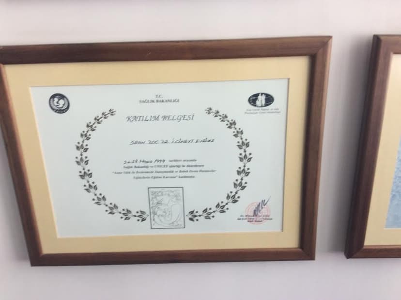 Katılım Belgesi