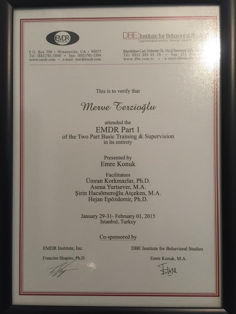 EMDR 1.MODÜL