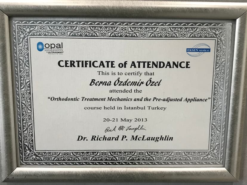 Damon System and Advanced Straight Wire