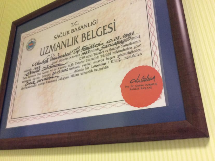 Uzmanlık Belgesi