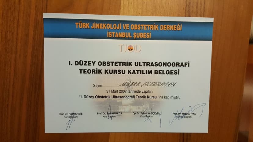 1. Düzey Obstetrik Ultrasonografi Teorik Kursu Katılım Belgesi