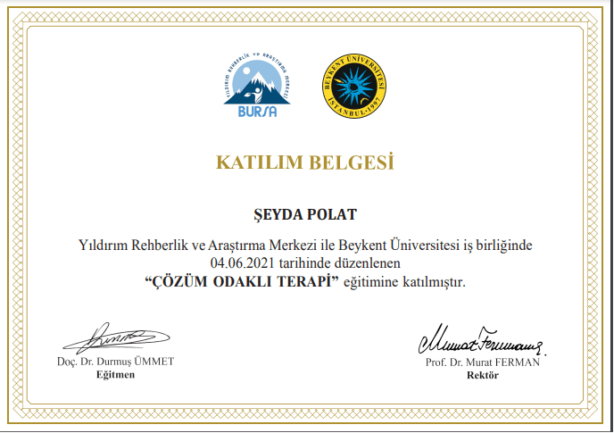 Çözüm Odaklı Terapi