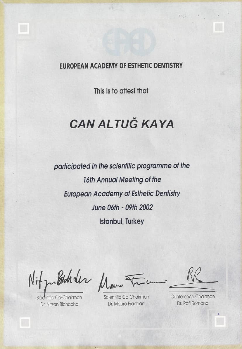European Academy of Esthetic Dentistry, 2002