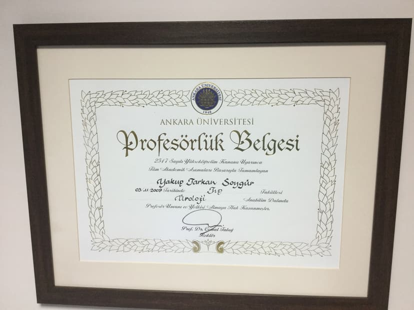 Profesörlük Belgesi