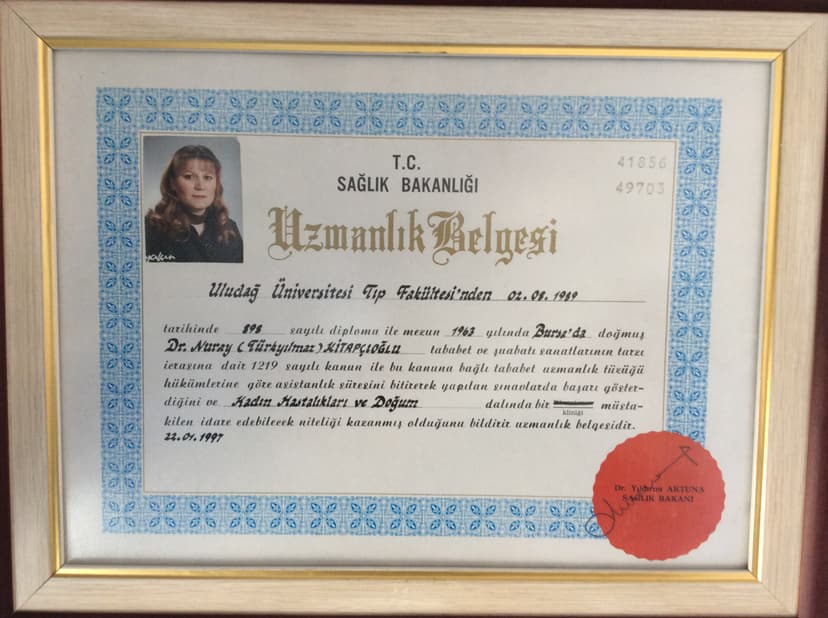 Uzmanlık belgesi