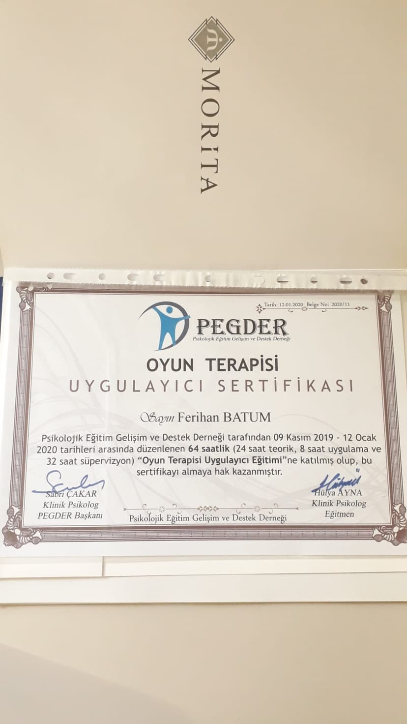 Oyun Terapisi (PEGDER)