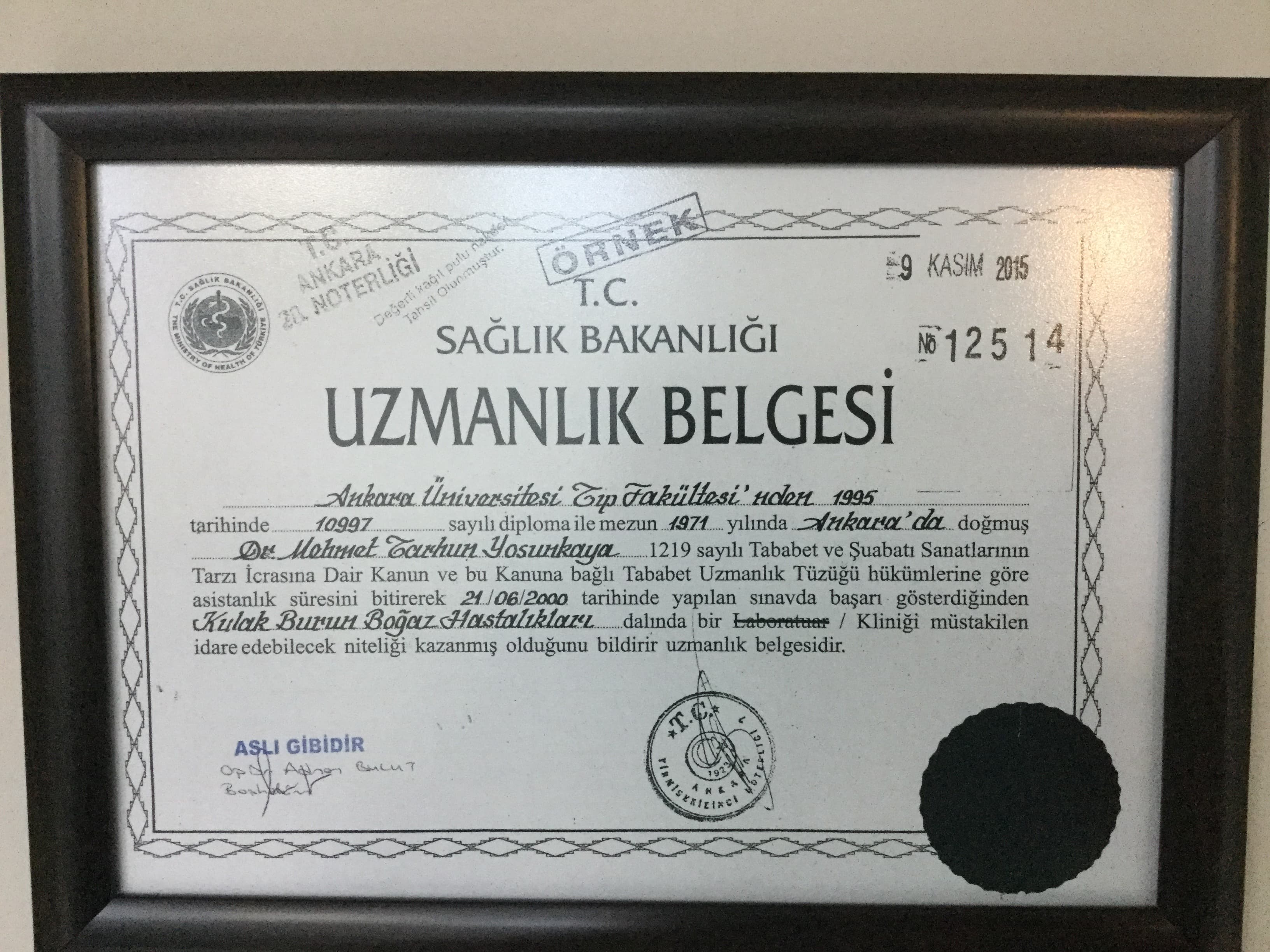 Uzmanlık Belgesi