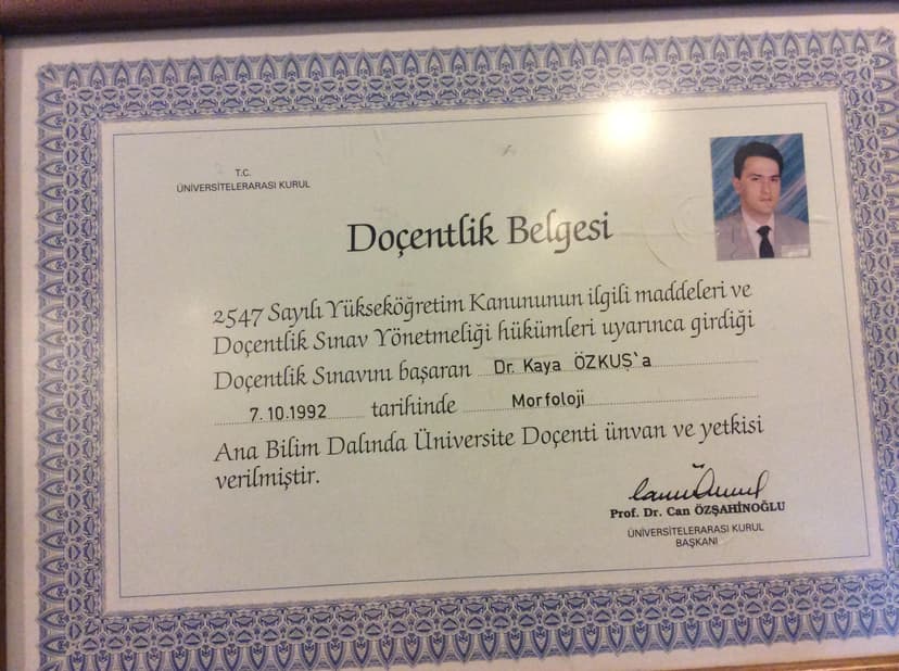 Doçentlik belgesi