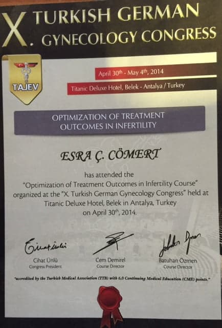 Optimization of Treatment Outcomes in Infertility