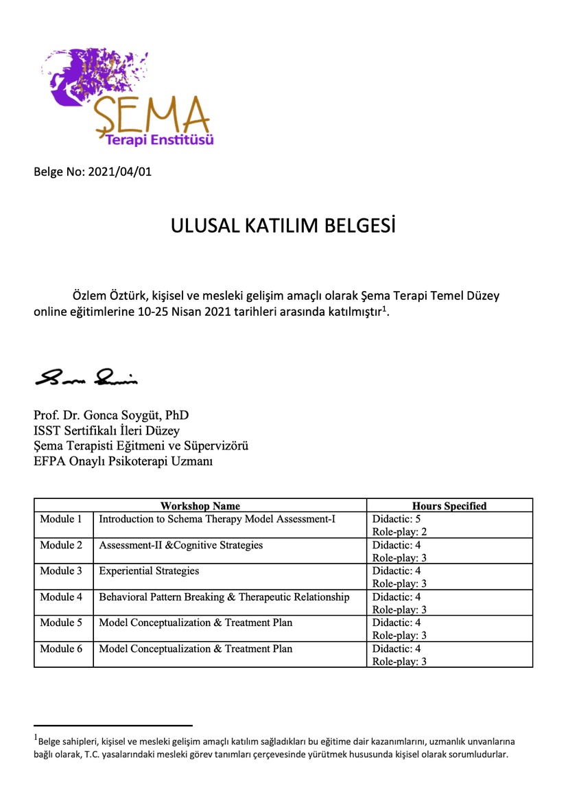  ISST Approved International Schema Therapy Training Program