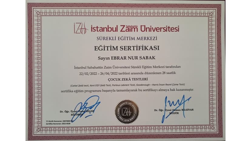 Çocuk Zeka Testleri