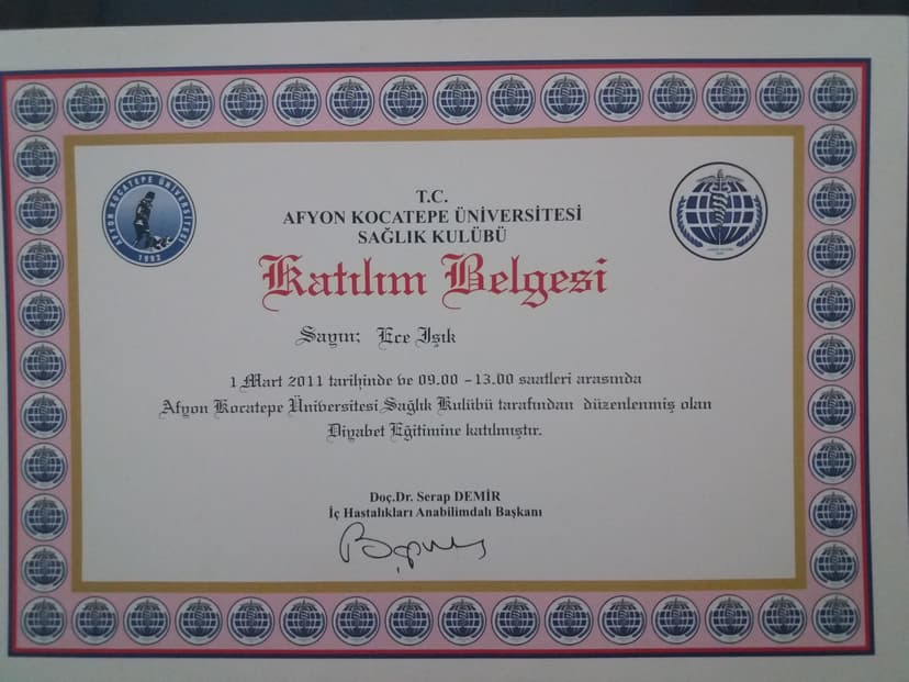 Sağlıklı Yaşama Giden Yolda, Sağlıklı Beslenme ve Fiziksel Aktivite