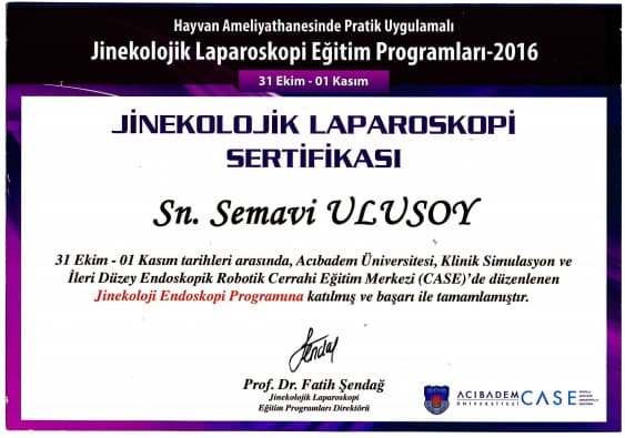 Jinekolojik Laparoskopi Sertifikası