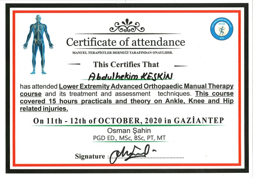 Alt Ekstremite Mobilizasyon Manipülasyon