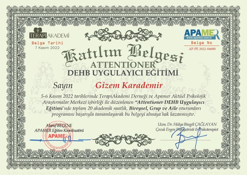 ATTENTİONER DİKKATİMİ TOPLUYORUM