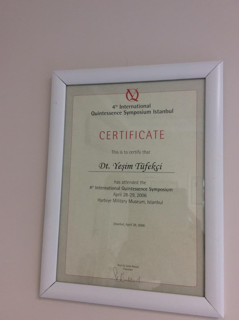 4th International Quintessence Symposium İstanbul