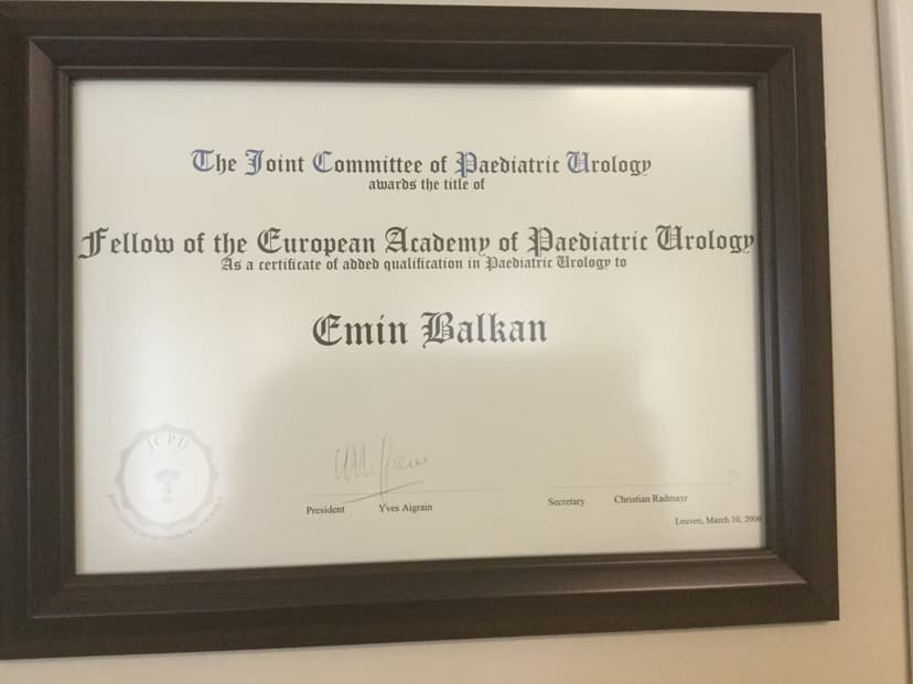 The Joint Committee of Paediatric Urology