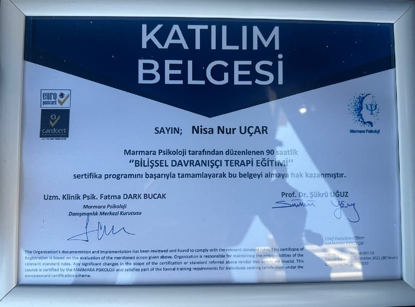 bilişssel davranışçı terapi sertifikası