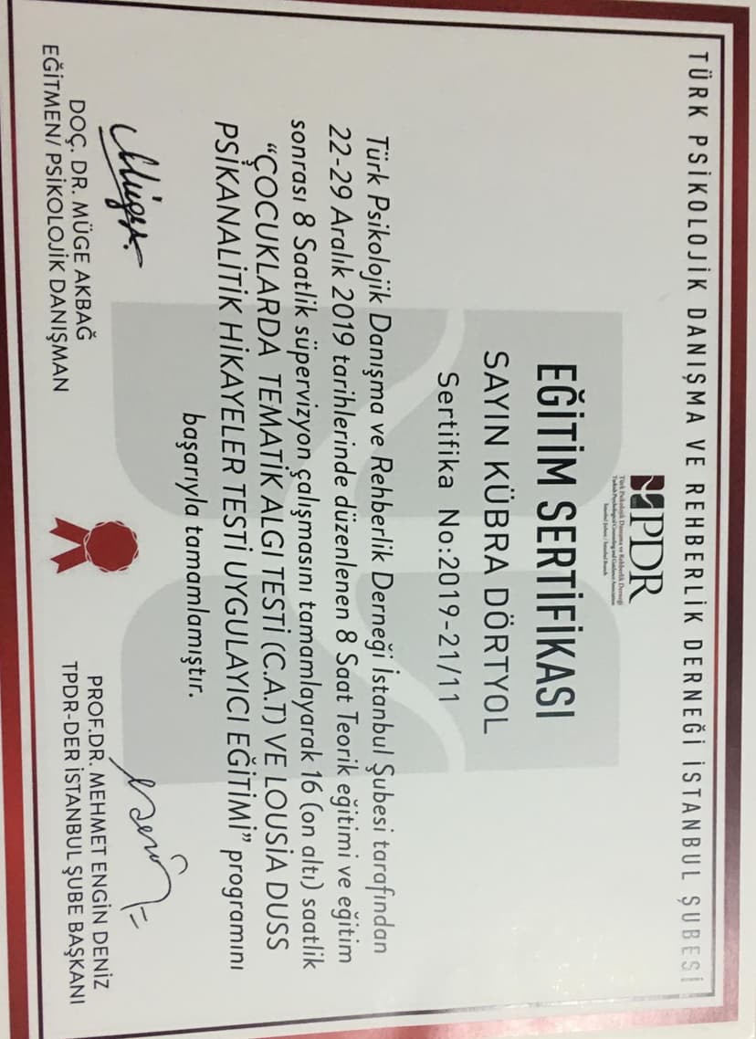 Çocuklarda Tematik Algı Testi (CAT) ve Lousia Duss Psikanalitik Hikayeler Testi Uygulayıcı Eğitimi