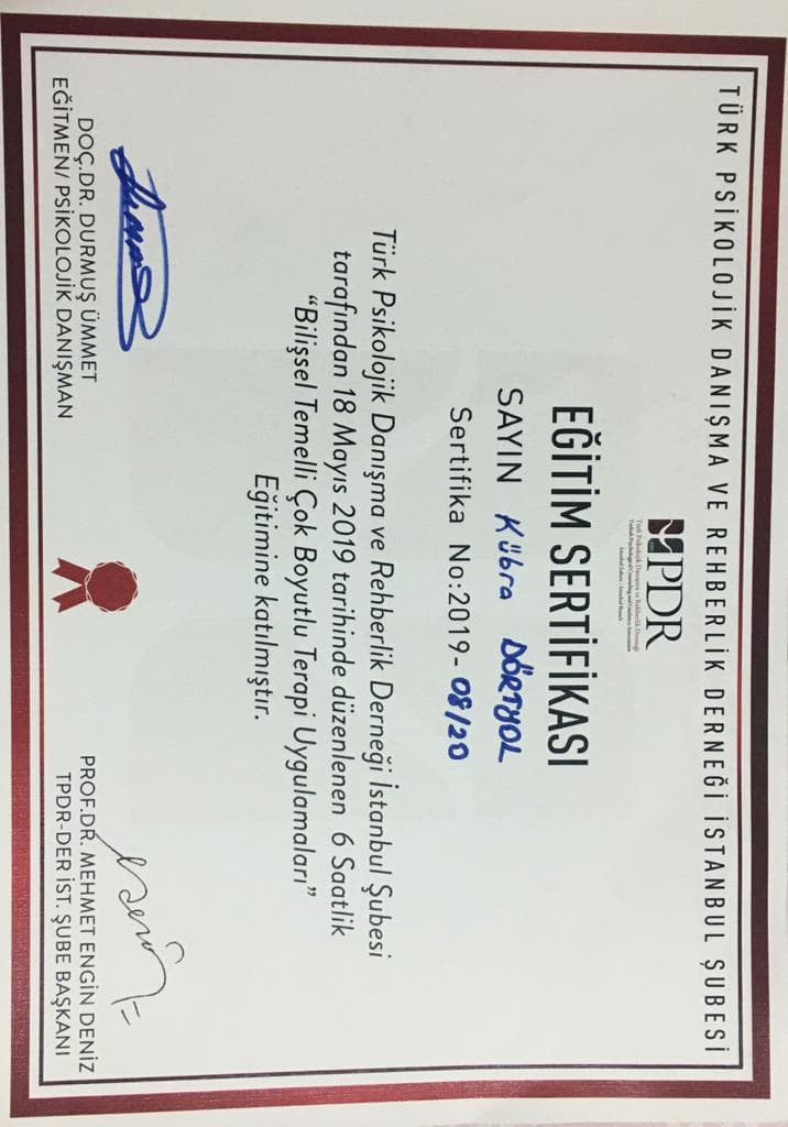 Bilişsel Temelli Çok Boyutlu Terapi Uygulamaları Eğitimi